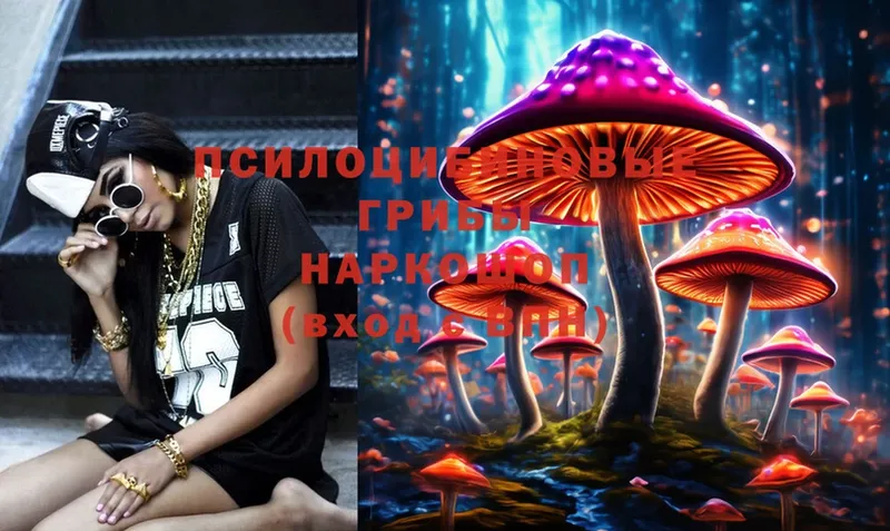 закладка  Кимры  Галлюциногенные грибы MAGIC MUSHROOMS 